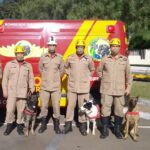 Bombeiros goianos vão auxiliar nos resgates às vítimas em Petrópolis, RJ