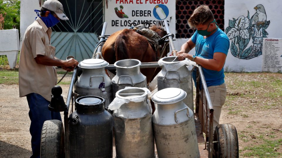 Ditadura não consegue comprar leite suficiente em Cuba, e preço dispara no mercado negro