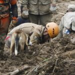 Chuvas voltam a atingir Petrópolis e geram novos alertas