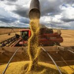 Agronegócio tem superávit de US$ 7,7 bilhões em janeiro deste ano