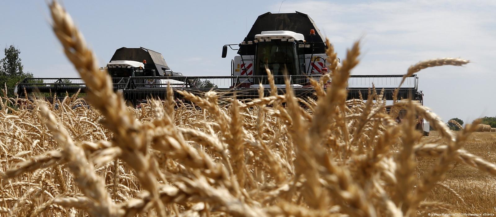 Guerra na Ucrânia pode provocar crise alimentar mundial