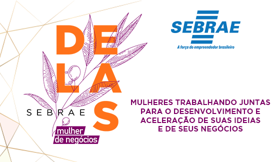 Sebrae: mulheres lideram 10,1 milhões de empreendimentos no Brasil