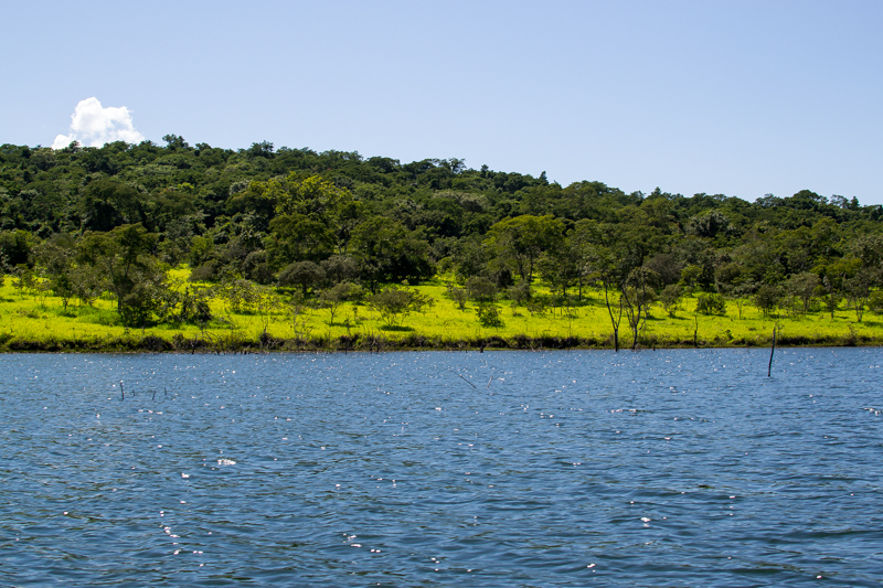 Área do Parque Estadual do João Leite pode ser liberada para lazer