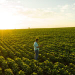 ConectarAgro quer toda área agrícola do Brasil coberta em seis anos