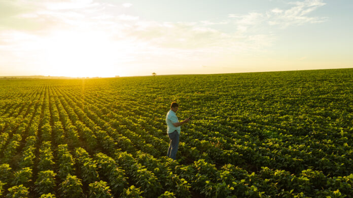 ConectarAgro quer toda área agrícola do Brasil coberta em seis anos