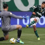 Palmeiras goleia Botafogo para assumir liderança do Brasileiro