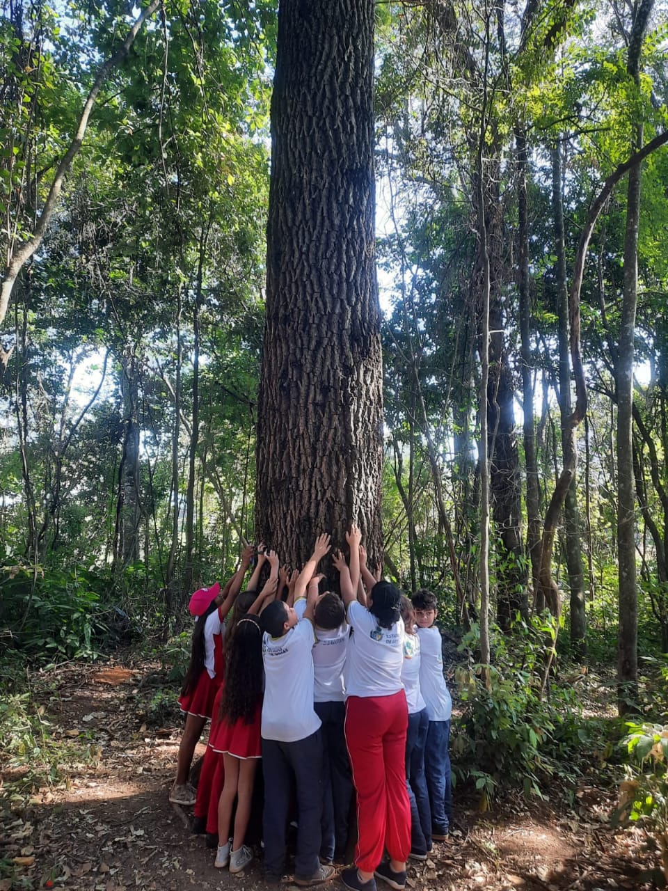 Prefeitura de Goiânia promove trilhas guiadas com crianças no Parque Areião, durante férias