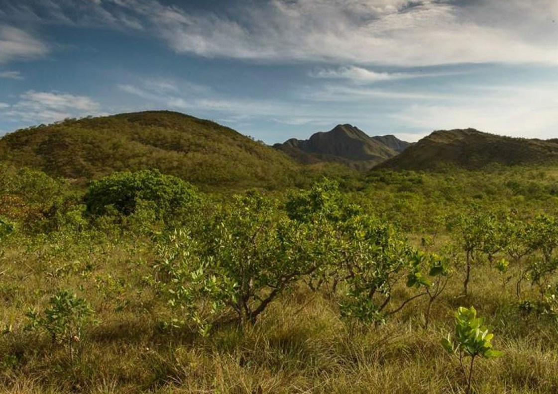 Prodes Cerrado: Redução do desmatamento em Goiás é o maior do Brasil