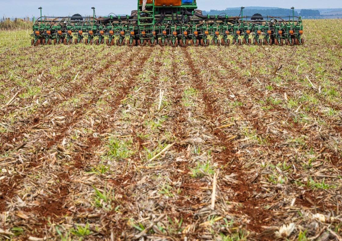 Prorrogado até 12 de janeiro o prazo para semeadura da soja em Goiás