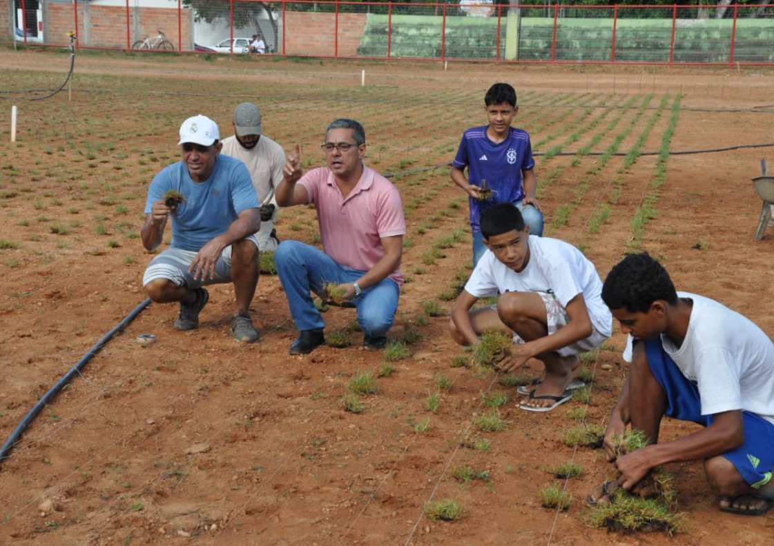 Anhanguera: Estádio Bananão começa a receber o plantio da grama “bermuda”, a mesma das arenas esportivas nacionais