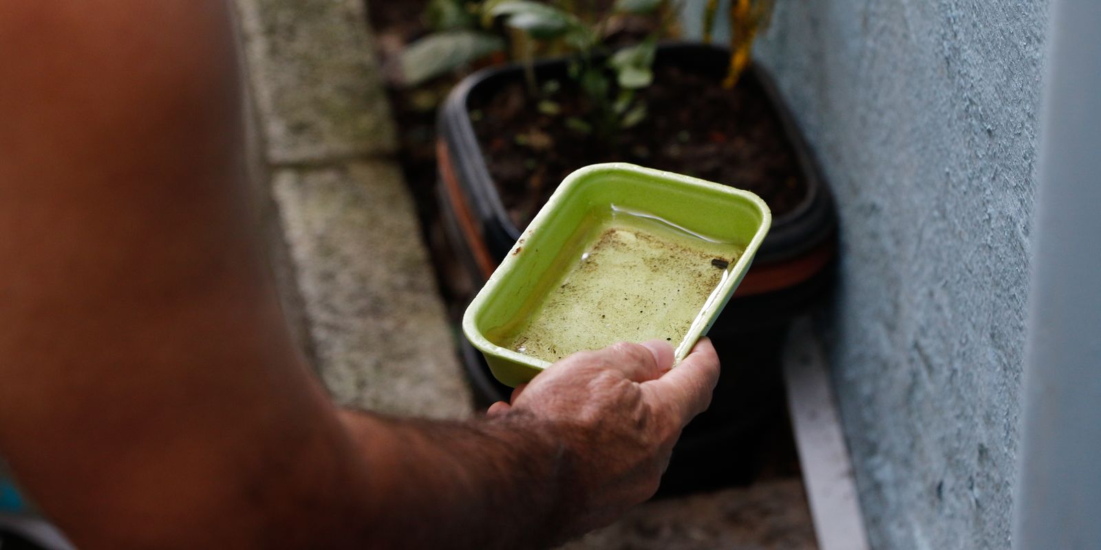 Dengue: DF vai aplicar multa em caso de descarte irregular de lixo