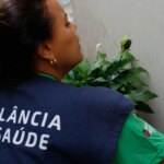 Estado de São Paulo tem sete mortes por dengue em 2024