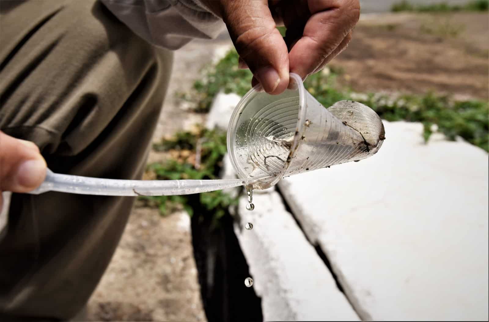 Estudo constata que maioria dos criadouros do Aedes está no lixo domiciliar