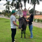 Goiânia: Terapia com cavalos auxilia no tratamento de pacientes do CRER Dr. Henrique Santillo