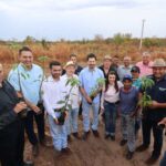 Nordeste Goiano: Cooperação tecnológica com Israel deve transformar projeto de irrigação do Vão do Paranã