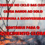 Queimadas podem ser desastrosas para o meio ambiente e, consequentemente, para a saúde humana