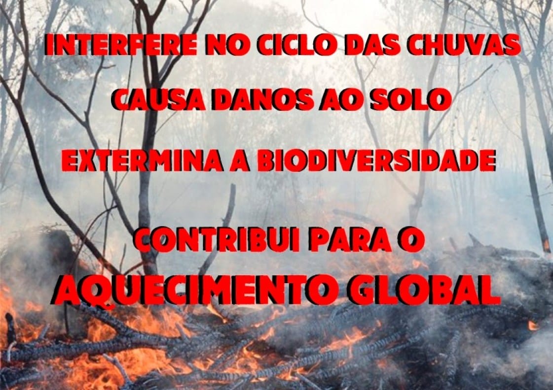 Queimadas podem ser desastrosas para o meio ambiente e, consequentemente, para a saúde humana