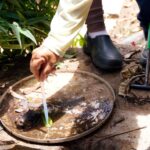 Saúde divulga cuidados para evitar aumento de casos de dengue, zika e chikungunya