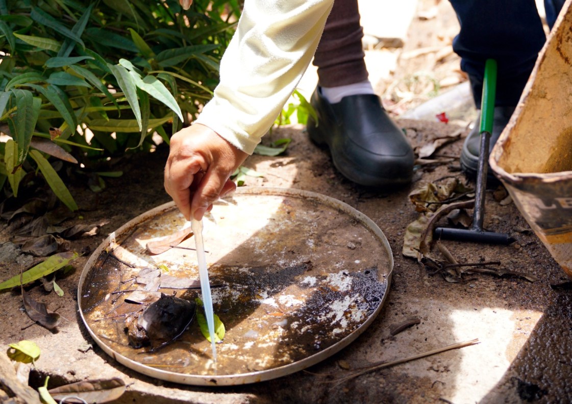 Saúde divulga cuidados para evitar aumento de casos de dengue, zika e chikungunya