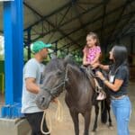 Terapia com cavalos auxilia no tratamento de pacientes do Crer