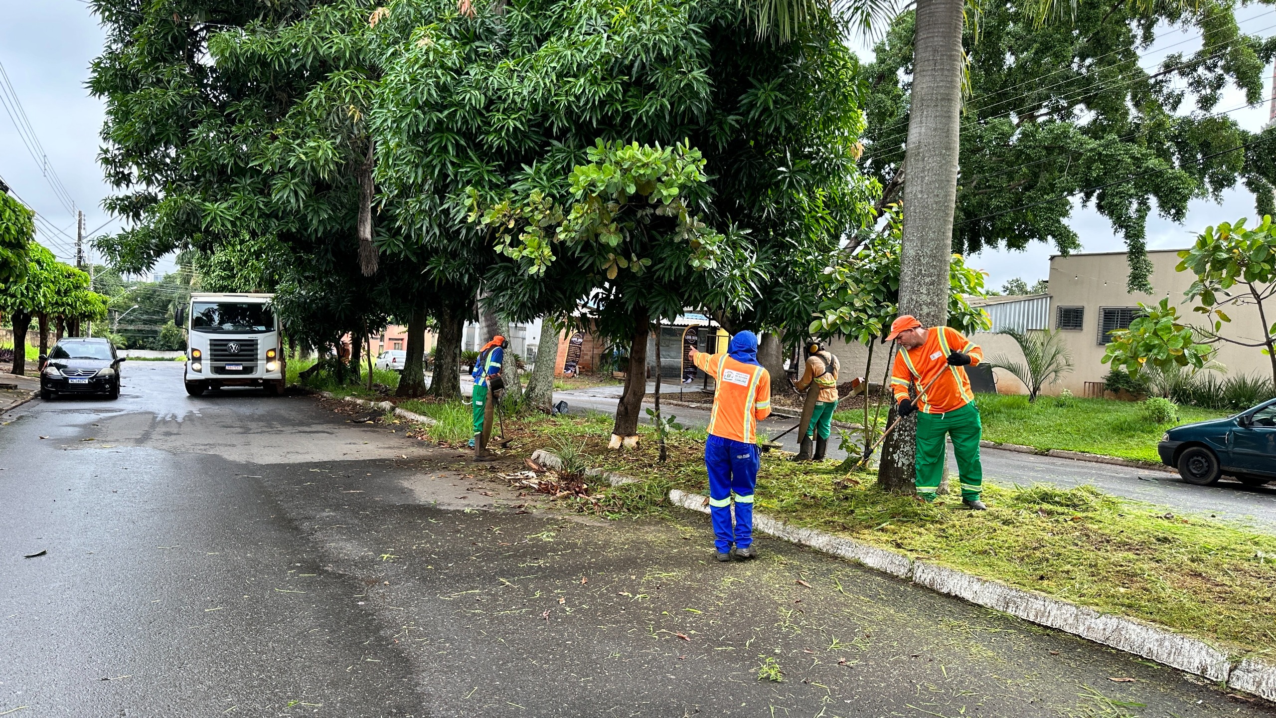 Prefeitura inicia força-tarefa contra mato alto em vias de Goiânia