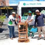 Mais de 8 mil mudas de árvores já foram plantadas em calçadas da Capital, por meio do Disque-Árvore