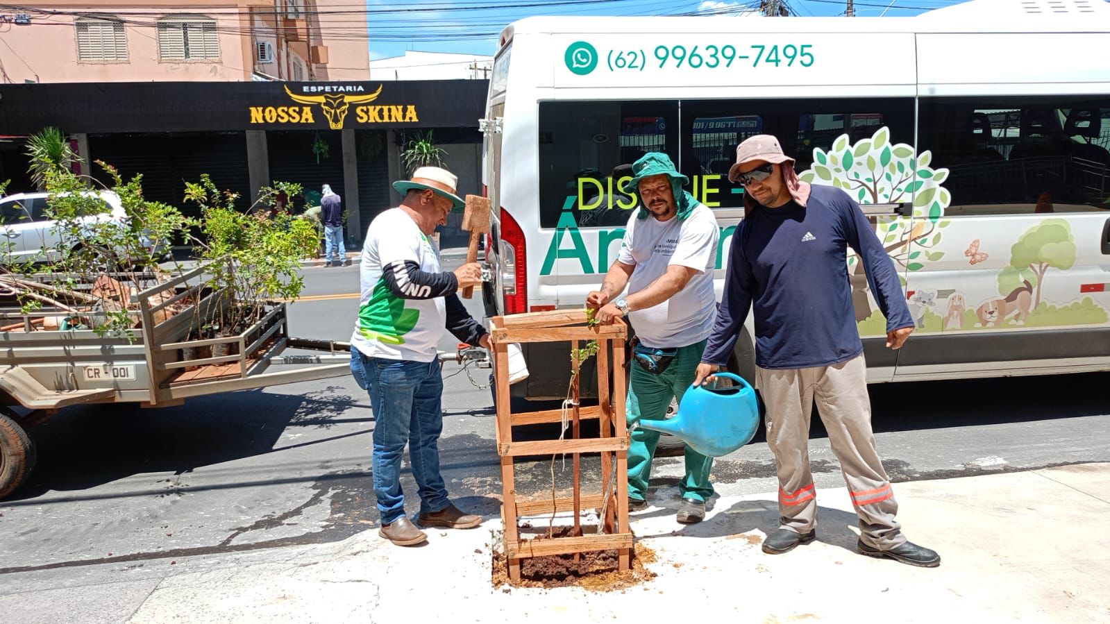 Mais de 8 mil mudas de árvores já foram plantadas em calçadas da Capital, por meio do Disque-Árvore