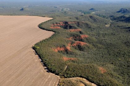 Goiás tem queda de 18% no desmatamento e prevê meta zero até 2030