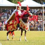 Cavalhadas de Pirenópolis serão realizadas no Módulo Esportivo