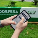 Pecuarista: atenção aos prazos às novas regras para declaração do rebanho