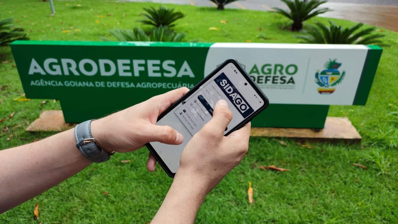 Pecuarista: atenção aos prazos às novas regras para declaração do rebanho