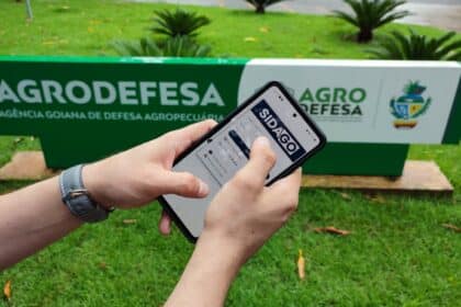 Pecuarista: atenção aos prazos às novas regras para declaração do rebanho