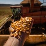 Agronegócio em Goiás emprega mais de 1 milhão de pessoas em 2023