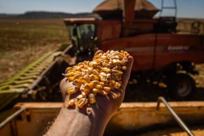 Agronegócio em Goiás emprega mais de 1 milhão de pessoas em 2023