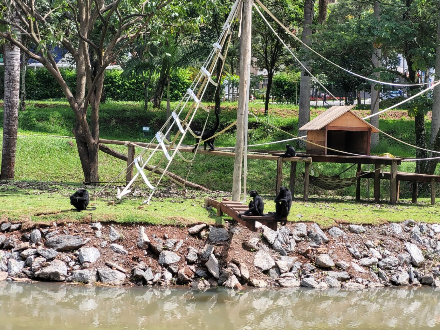 Gestão do Zoológico trabalha para o bem-estar e cuidado com os animais