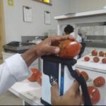 Fapeg impulsiona inovação na certificação digital de produtos agrícolas em Goiás