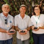 Com assistência da Emater, produtor investe em tecnologia para melhorar produção de jabuticaba