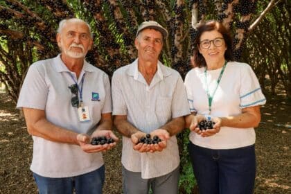 Com assistência da Emater, produtor investe em tecnologia para melhorar produção de jabuticaba