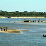 Campeonato de Pesca Esportiva movimenta turismo na região do Vale do Araguaia