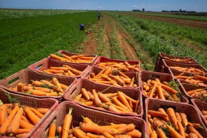 Economia de Goiás cresce acima da média nacional