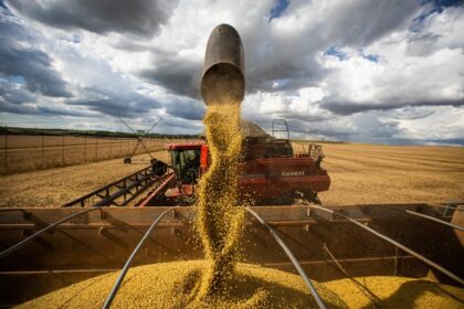 Mercado de trabalho do agronegócio goiano atinge recorde em série histórica