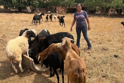 Governo de Goiás destina recursos a agricultores familiares