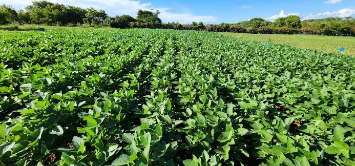 Governo de Goiás investe R$ 3,6 milhões em inovações sustentáveis para a agricultura