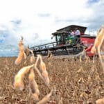 Goiás alcança superávit de US$ 6,6 bilhões na balança comercial em 2024