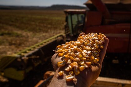 Projeção para 2025 aponta safra recorde de grãos em Goiás