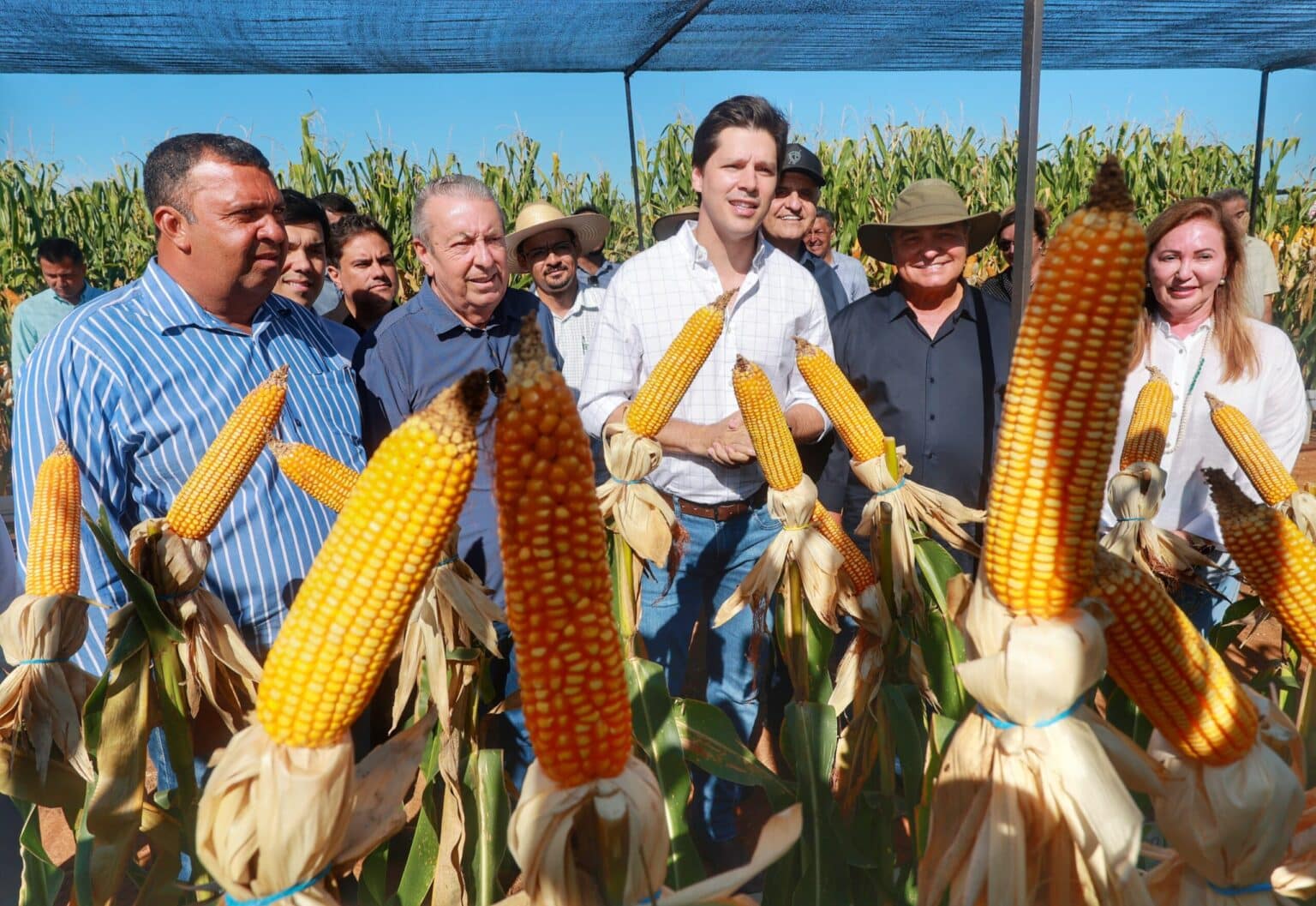 Daniel Vilela projeta Vale do Araguaia como importante fronteira agrícola em Goiás 