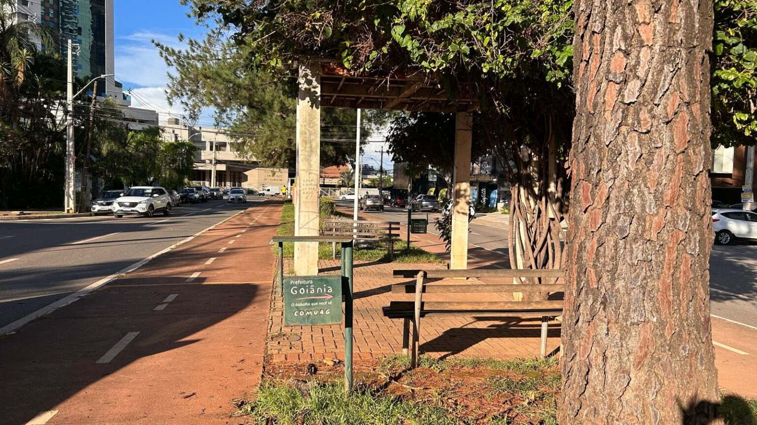 Avenida Ricardo Paranhos recebe manutenção com apoio da Associação Estadual de Apoio à Saúde