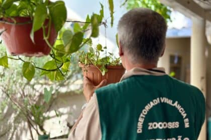 Goiânia tem 5,7 mil casos confirmados de dengue