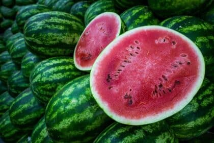 Com apoio do Governo de Goiás, Mundo Novo recebe autorização para exportar melancia, melão e abóbora