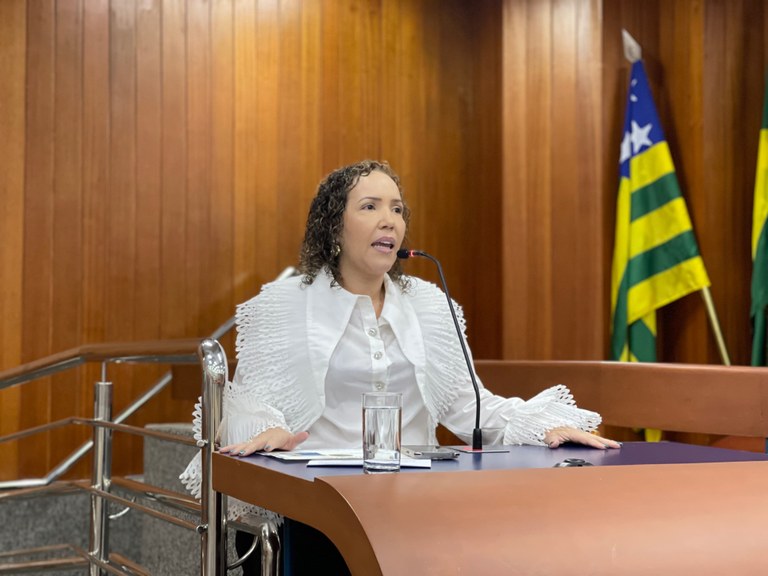 Daniela da Gilka apresenta projeto que cria programa gratuito de capacitação para o Terceiro Setor em Goiânia